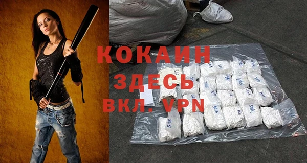 mix Богородицк