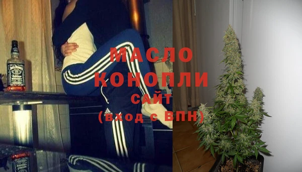 mix Богородицк