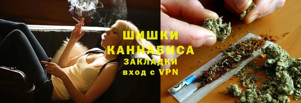 прущая мука Бородино